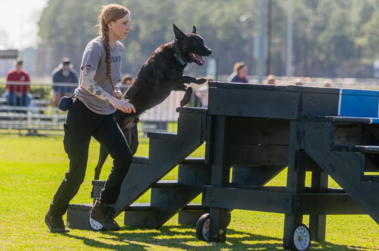 Competitive dog sports training at Georgia Doggy Dojo 3